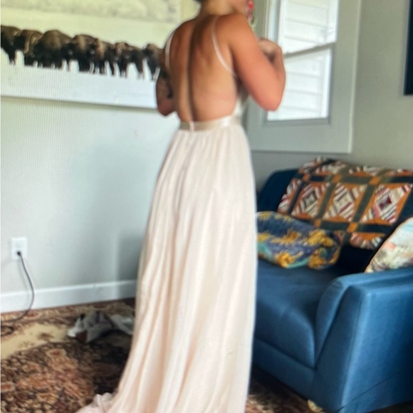 Leanne Marshall McKenna dress in blush, size 4 - Picture 3 of 5